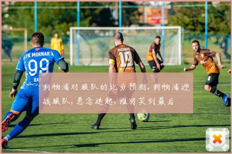 利物浦对狼队的比分预测,利物浦迎战狼队,悬念迭起,谁将笑到最后