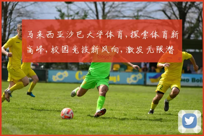 马来西亚沙巴大学体育,探索体育新高峰,校园竞技新风向,激发无限潜能。
